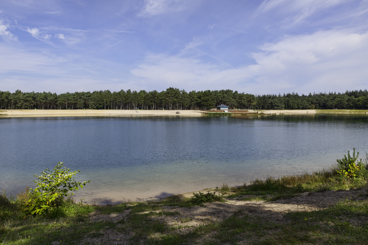 iStock-1356770834.jpg