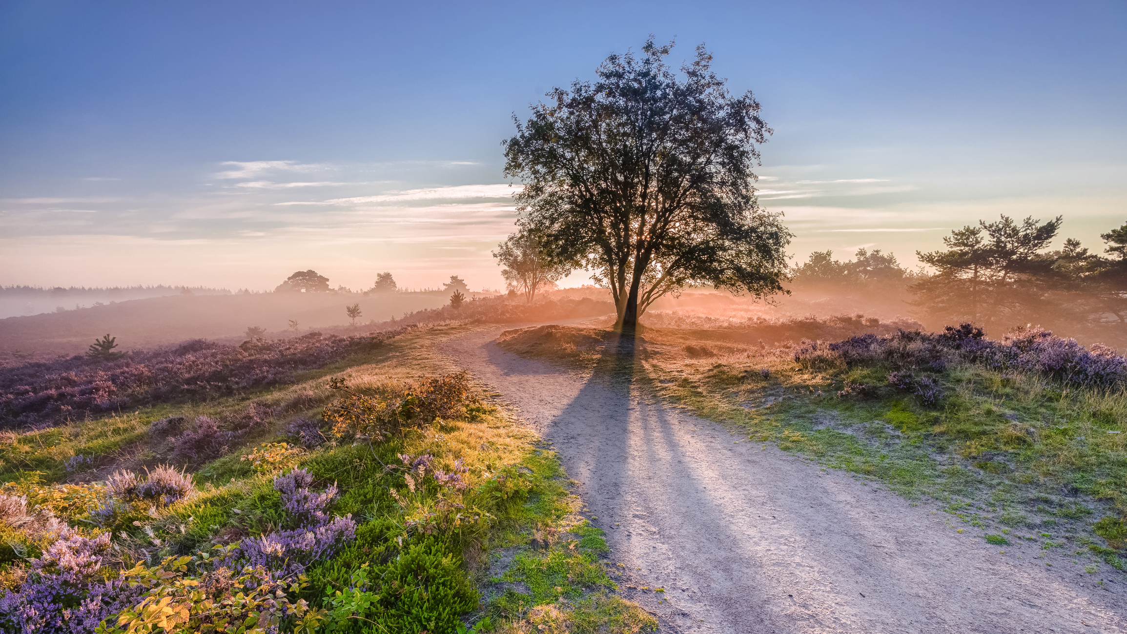 iStock-487428026.jpg