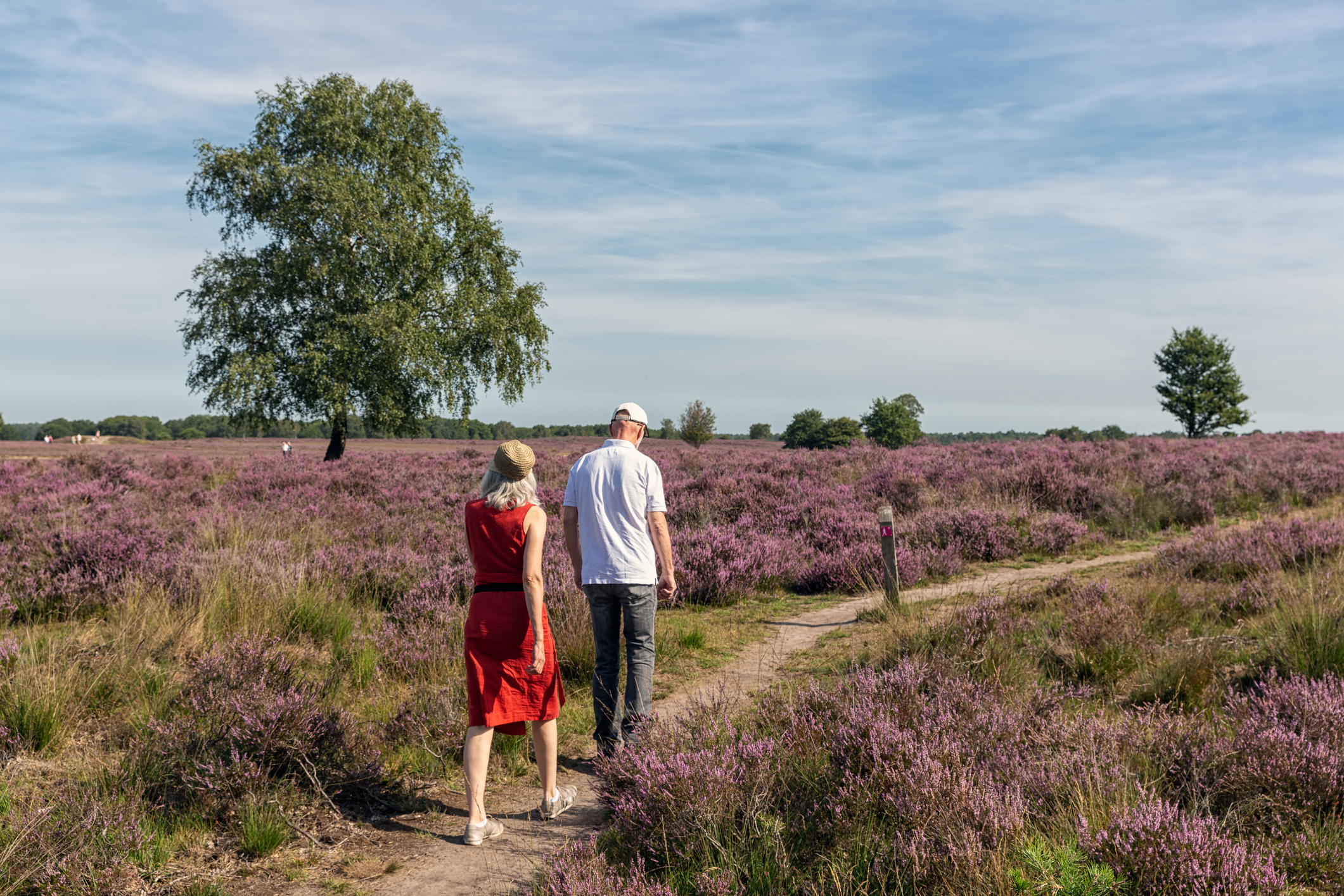 Wandelen op veluwe.jpg