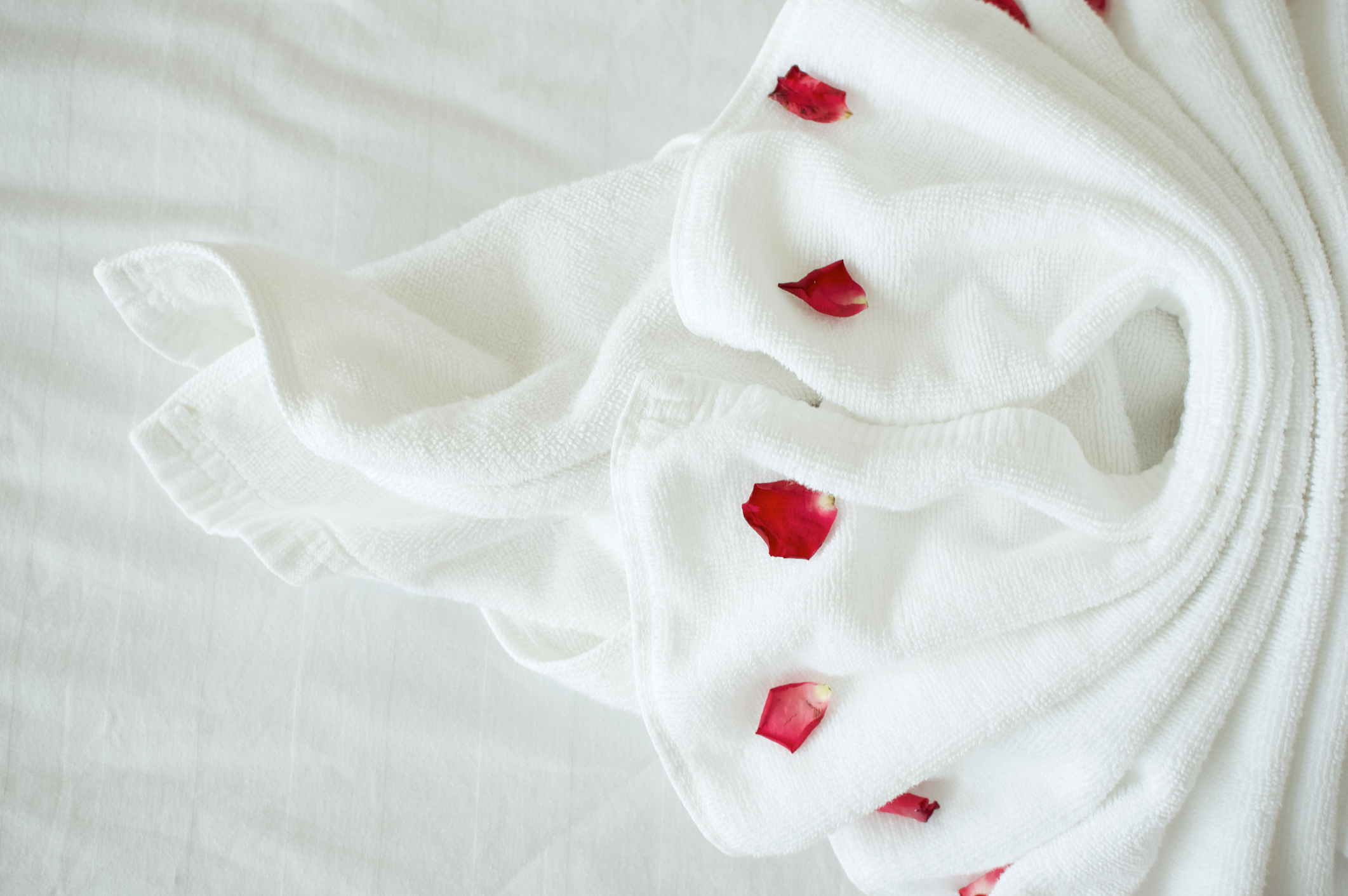 iStock-2181870296.jpg