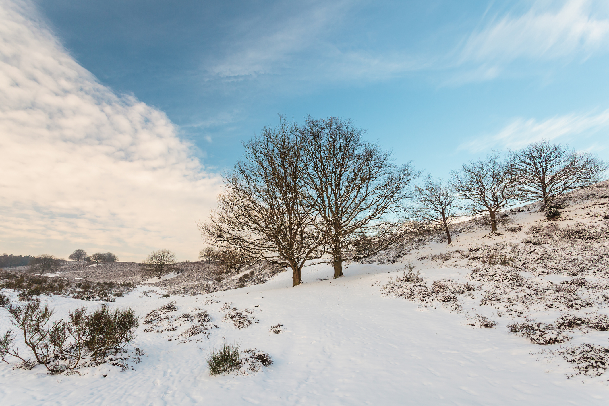 iStock-177548163.jpg