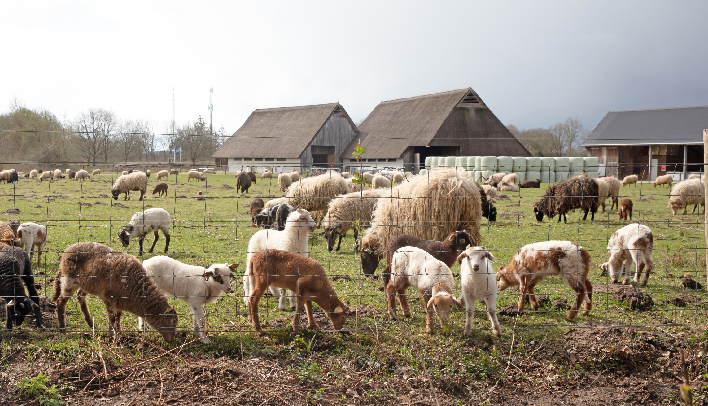 iStock-1396122320.jpg