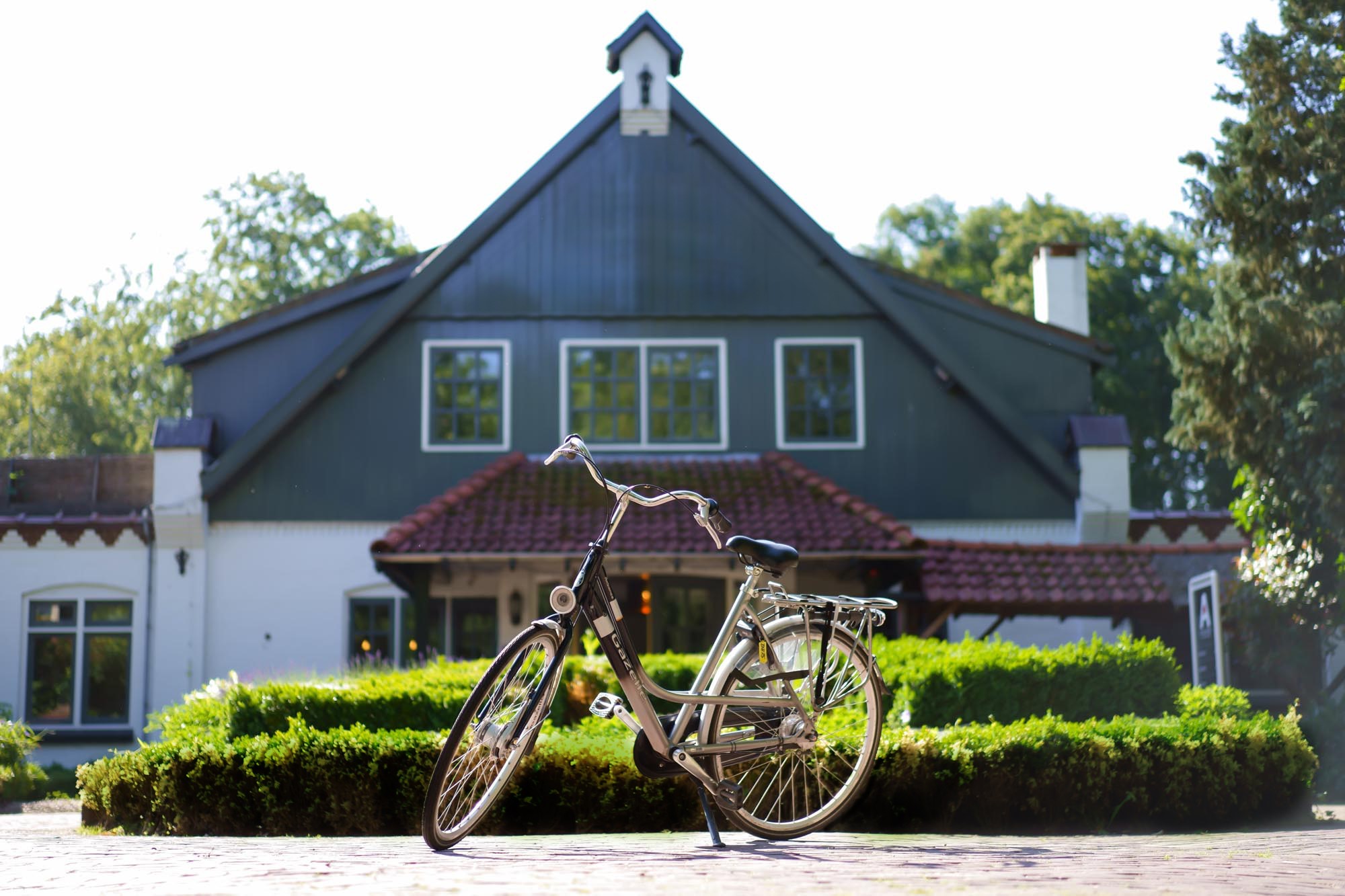 Fietsen Veluwe.jpg