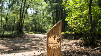 Wandelen op de Veluwe - Veluwe Hotel De Beyaerd (blok).jpg